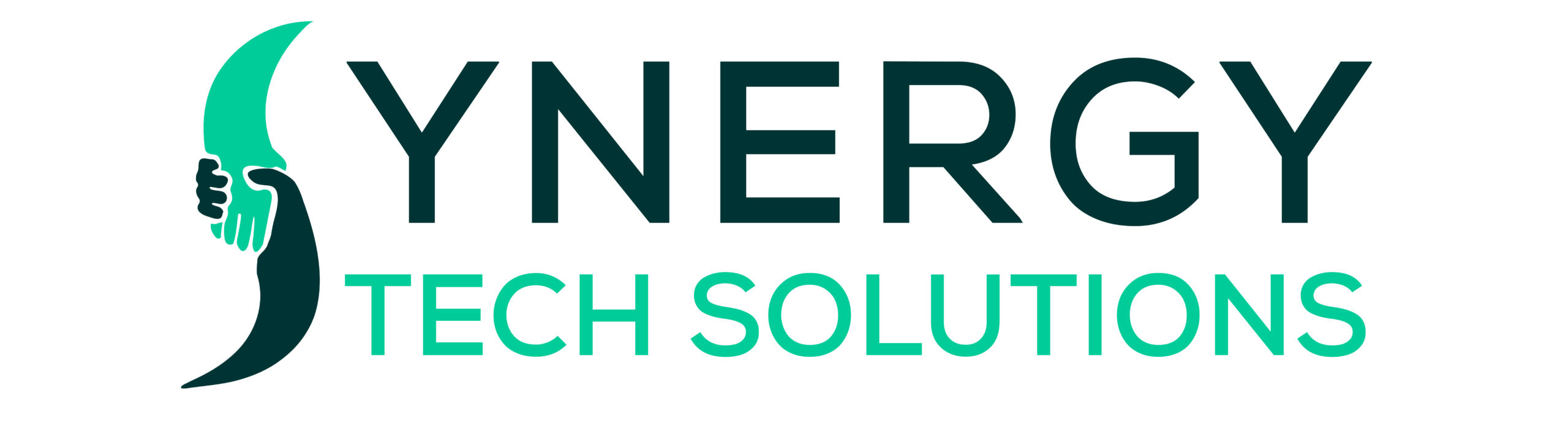 Synergy Tech Solutions Reports